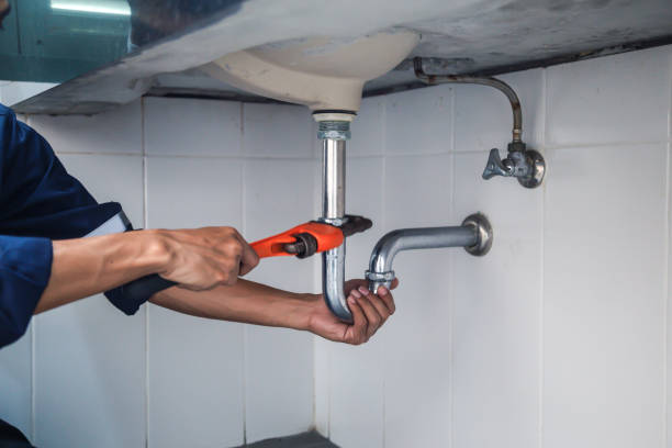 Best Affordable Plumbing Services  in Olga, FL