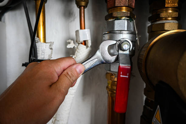 Best Residential Plumbing Services  in Olga, FL